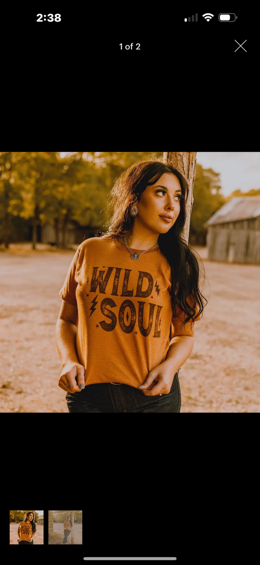 Wild Soul Western Graphic Tee